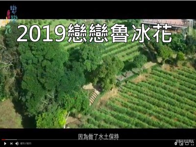 2019戀戀魯冰花(另開新視窗)